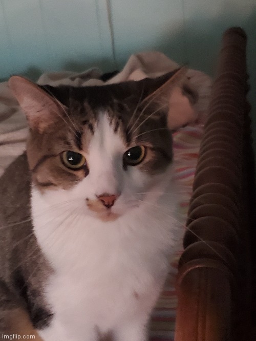 I remember this | made w/ Imgflip meme maker