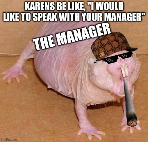 naked mole rat | KARENS BE LIKE, "I WOULD LIKE TO SPEAK WITH YOUR MANAGER"; THE MANAGER | image tagged in naked mole rat,karens | made w/ Imgflip meme maker