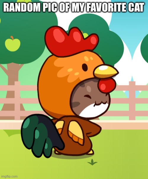 RANDOM PIC OF MY FAVORITE CAT | made w/ Imgflip meme maker