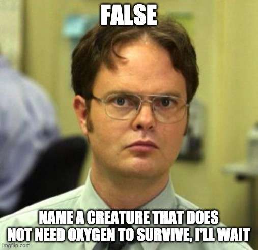 False | FALSE NAME A CREATURE THAT DOES NOT NEED OXYGEN TO SURVIVE, I'LL WAIT | image tagged in false | made w/ Imgflip meme maker