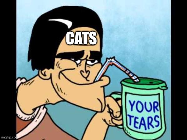 Your Tears Drink | CATS | image tagged in your tears drink | made w/ Imgflip meme maker