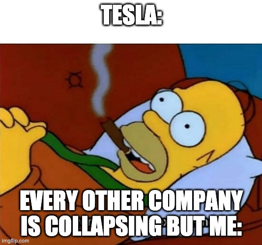 Everyone is stupid except me | TESLA: EVERY OTHER COMPANY IS COLLAPSING BUT ME: | image tagged in everyone is stupid except me | made w/ Imgflip meme maker