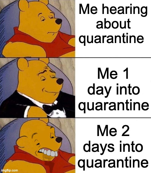 Quarantine | Me hearing about quarantine; Me 1 day into quarantine; Me 2 days into quarantine | image tagged in best better blurst | made w/ Imgflip meme maker