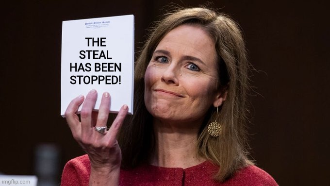 Amy Barrett | THE STEAL HAS BEEN STOPPED! | image tagged in amy barrett | made w/ Imgflip meme maker