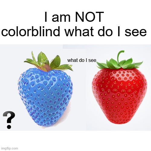 What do I see quiz | I am NOT colorblind what do I see; what do I see | image tagged in memes,trivia crack | made w/ Imgflip meme maker