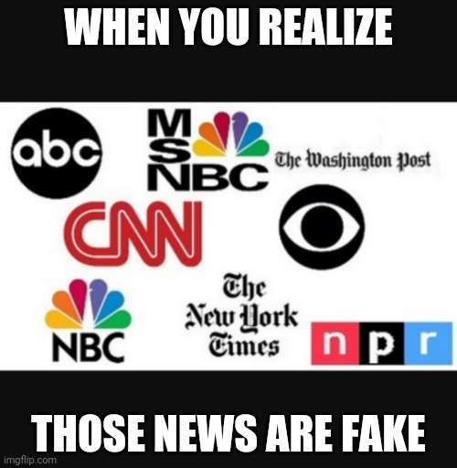 Media lies | WHEN YOU REALIZE; THOSE NEWS ARE FAKE | image tagged in media lies | made w/ Imgflip meme maker