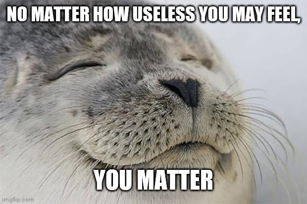Satisfied Seal |  NO MATTER HOW USELESS YOU MAY FEEL, YOU MATTER | image tagged in memes,satisfied seal | made w/ Imgflip meme maker