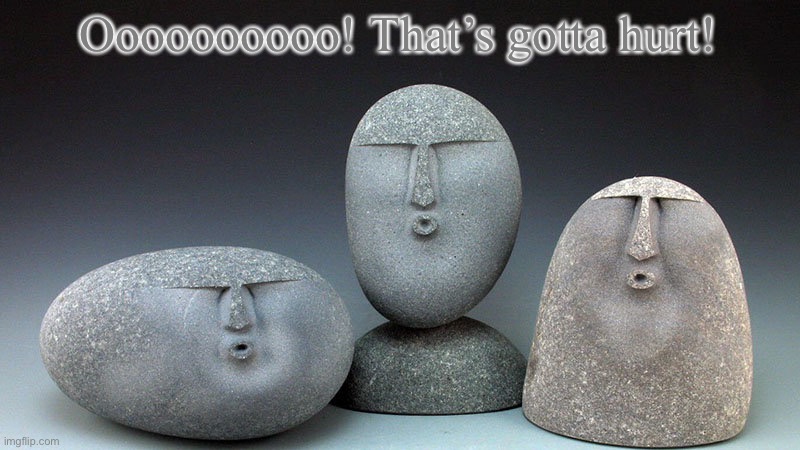 Stones are shocked by that burn! | Oooooooooo! That’s gotta hurt! | image tagged in oof stones,hurt,ouch,wicked,roasted,nice | made w/ Imgflip meme maker