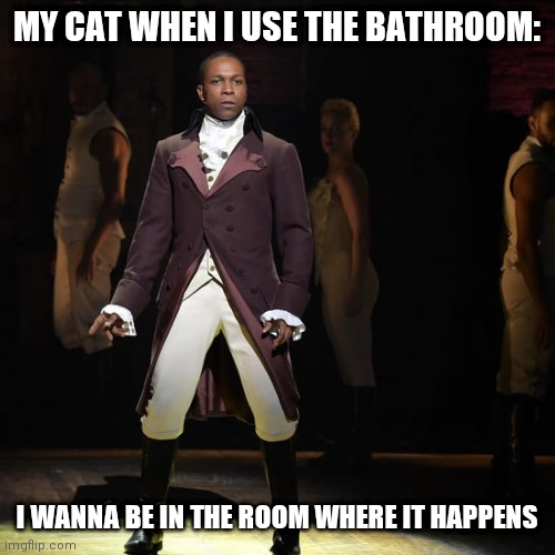 Leslie Odom Jr As ron Burr In Hamilton The Musical Imgflip