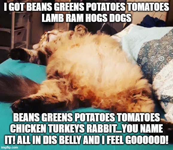 fat kitty | I GOT BEANS GREENS POTATOES TOMATOES
LAMB RAM HOGS DOGS; BEANS GREENS POTATOES TOMATOES
CHICKEN TURKEYS RABBIT...YOU NAME IT! ALL IN DIS BELLY AND I FEEL GOOOOOD! | image tagged in big | made w/ Imgflip meme maker