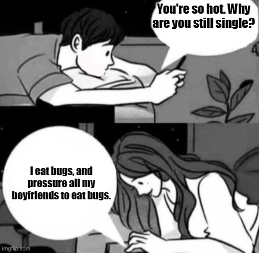 And That's Why I'm Single | You're so hot. Why are you still single? I eat bugs, and pressure all my boyfriends to eat bugs. | image tagged in boy and girl texting,memes | made w/ Imgflip meme maker
