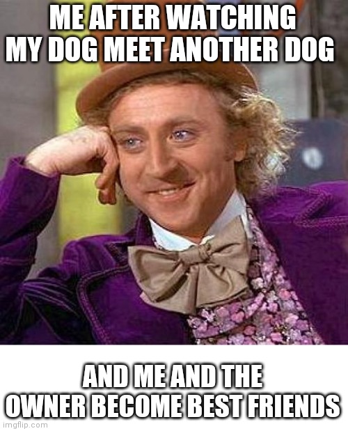 I'm just satisfied | ME AFTER WATCHING MY DOG MEET ANOTHER DOG; AND ME AND THE OWNER BECOME BEST FRIENDS | image tagged in satisfying | made w/ Imgflip meme maker