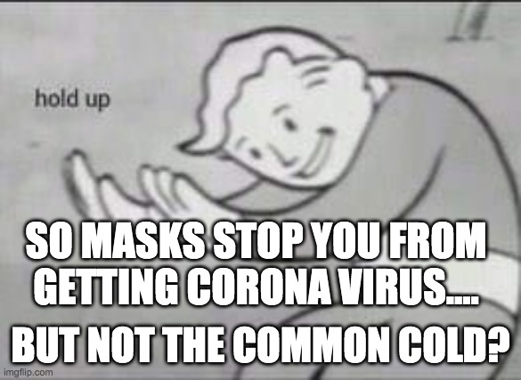 No title needed | SO MASKS STOP YOU FROM GETTING CORONA VIRUS.... BUT NOT THE COMMON COLD? | image tagged in fallout hold up,corona virus | made w/ Imgflip meme maker