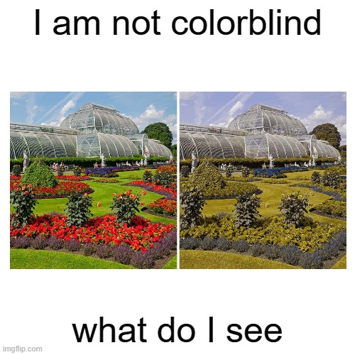 Blank Transparent Square | I am not colorblind; what do I see | image tagged in memes,blank transparent square | made w/ Imgflip meme maker