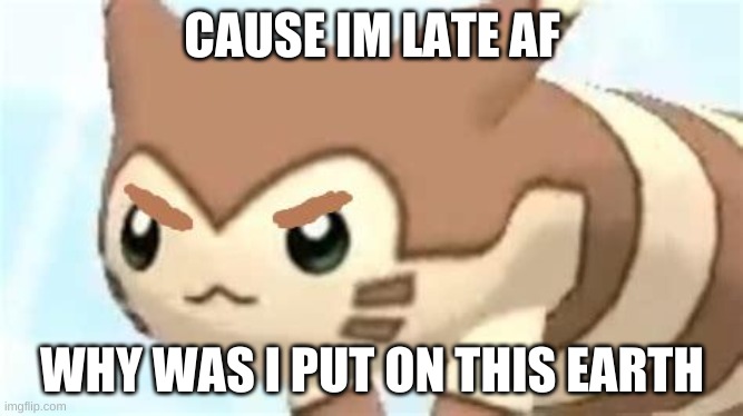 angry furret | CAUSE IM LATE AF; WHY WAS I PUT ON THIS EARTH | image tagged in angry furret | made w/ Imgflip meme maker