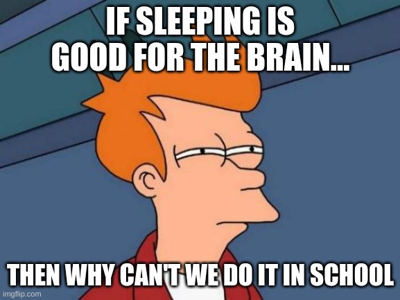 Futurama Fry | IF SLEEPING IS GOOD FOR THE BRAIN... THEN WHY CAN'T WE DO IT IN SCHOOL | image tagged in memes,futurama fry | made w/ Imgflip meme maker