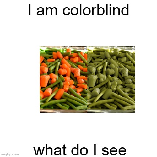 I'm pretending that Im colorblind but I ain't colorblind | I am colorblind; what do I see | image tagged in memes,blank transparent square | made w/ Imgflip meme maker