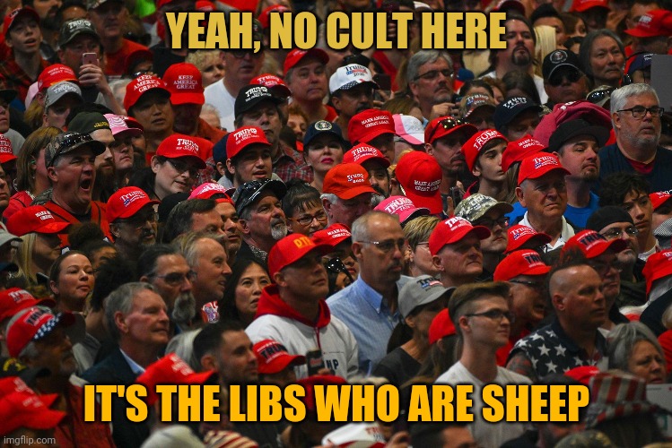 YEAH, NO CULT HERE IT'S THE LIBS WHO ARE SHEEP | made w/ Imgflip meme maker