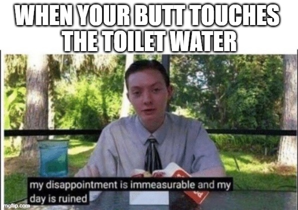My dissapointment is immeasurable and my day is ruined | WHEN YOUR BUTT TOUCHES 
THE TOILET WATER | image tagged in my dissapointment is immeasurable and my day is ruined | made w/ Imgflip meme maker