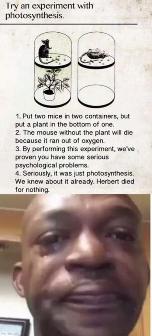 NOOOOOOOOOOOOO! | image tagged in yellow glass guy | made w/ Imgflip meme maker