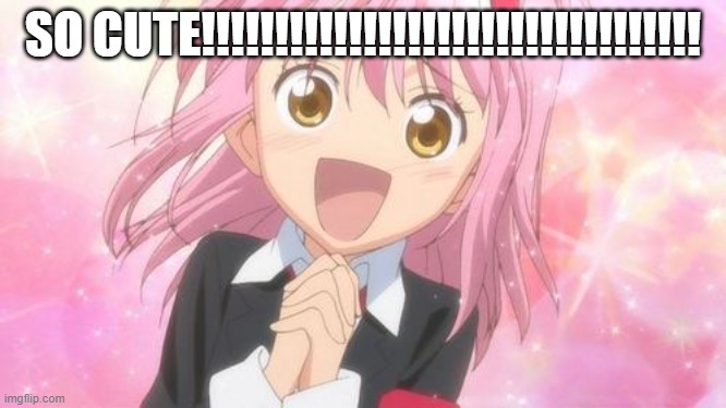 aww anime girl | SO CUTE!!!!!!!!!!!!!!!!!!!!!!!!!!!!!!!!!! | image tagged in aww anime girl | made w/ Imgflip meme maker