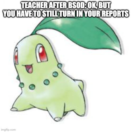 Chikorita | TEACHER AFTER BSOD: OK, BUT YOU HAVE TO STILL TURN IN YOUR REPORTS | image tagged in chikorita | made w/ Imgflip meme maker