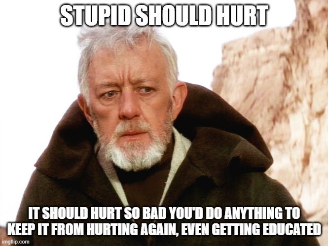 Stupid Should Hurt | STUPID SHOULD HURT; IT SHOULD HURT SO BAD YOU'D DO ANYTHING TO KEEP IT FROM HURTING AGAIN, EVEN GETTING EDUCATED | image tagged in stupid,obi-wan kenobi | made w/ Imgflip meme maker