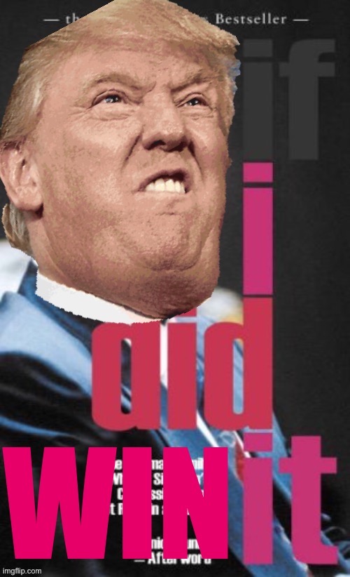 Trump’s next best-seller! | image tagged in trump if i did win it | made w/ Imgflip meme maker