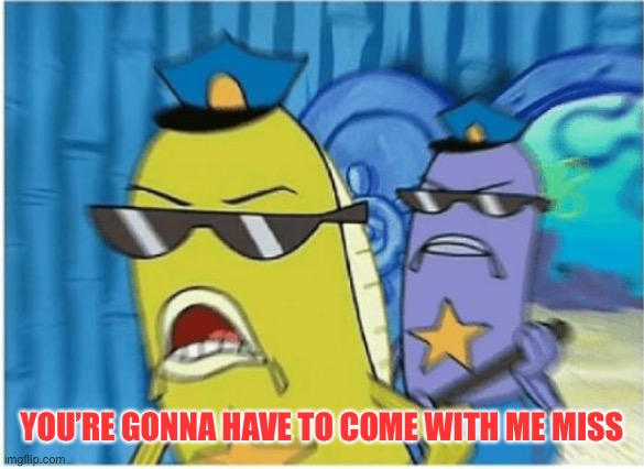Spongebob Police | YOU’RE GONNA HAVE TO COME WITH ME MISS | image tagged in spongebob police | made w/ Imgflip meme maker