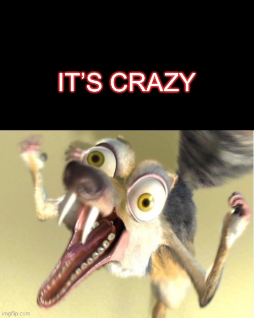 Overreacting Squirrel | IT’S CRAZY | image tagged in overreacting squirrel | made w/ Imgflip meme maker