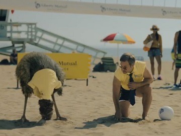 Emu Blank Meme Template