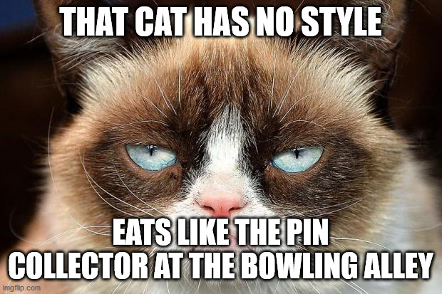 Grumpy Cat Not Amused | THAT CAT HAS NO STYLE; EATS LIKE THE PIN COLLECTOR AT THE BOWLING ALLEY | image tagged in memes,grumpy cat not amused,grumpy cat | made w/ Imgflip meme maker