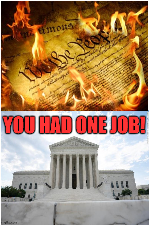 sad but true | YOU HAD ONE JOB! | image tagged in election 2020,supreme court | made w/ Imgflip meme maker