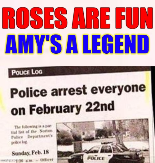 No Amy, I'm just a doritoooo... | ROSES ARE FUN; AMY'S A LEGEND | image tagged in dorito,doritos,doriomemes,police,roses are red | made w/ Imgflip meme maker