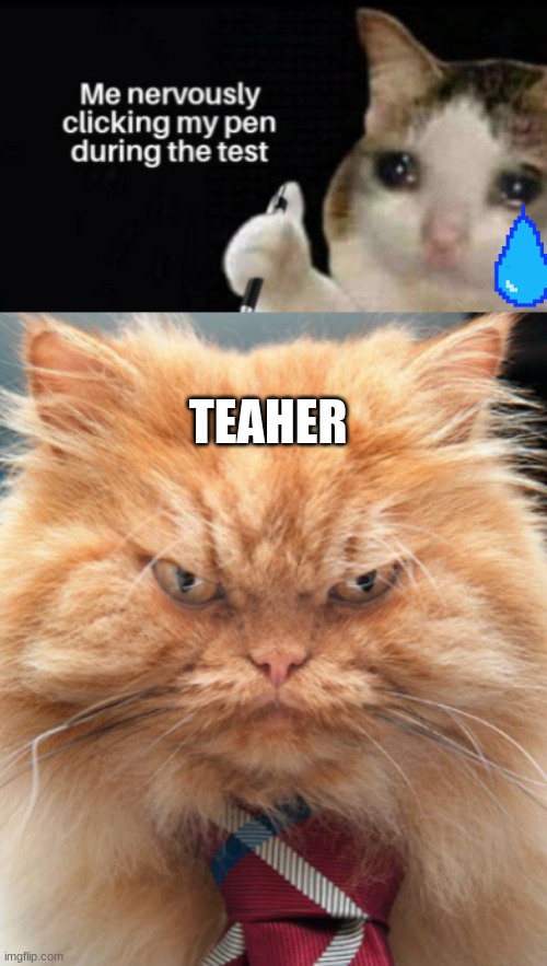 did i lie? | TEAHER | image tagged in grumpy cat,cats,funny,school | made w/ Imgflip meme maker
