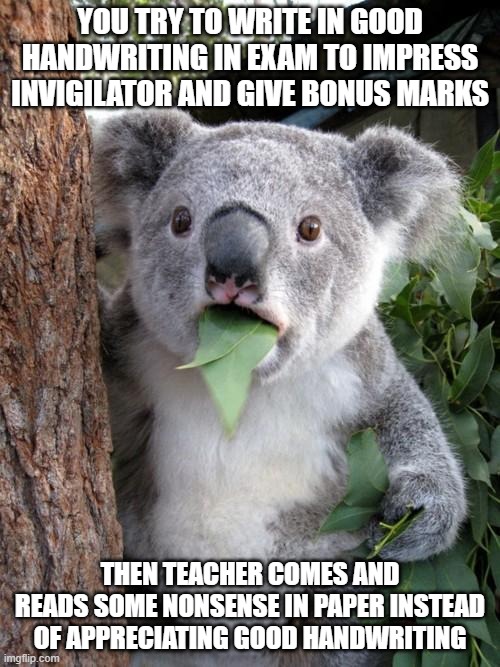 True World | YOU TRY TO WRITE IN GOOD HANDWRITING IN EXAM TO IMPRESS INVIGILATOR AND GIVE BONUS MARKS; THEN TEACHER COMES AND READS SOME NONSENSE IN PAPER INSTEAD OF APPRECIATING GOOD HANDWRITING | image tagged in memes,surprised koala | made w/ Imgflip meme maker