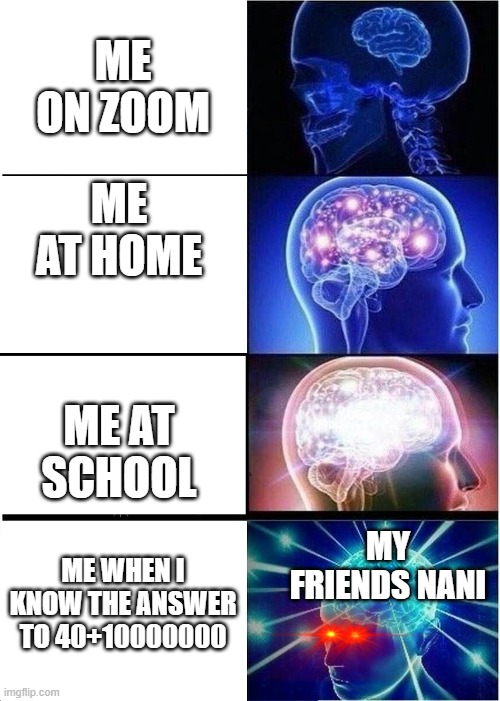 Expanding Brain Meme | ME ON ZOOM; ME AT HOME; ME AT SCHOOL; MY FRIENDS NANI; ME WHEN I KNOW THE ANSWER TO 40+10000000 | image tagged in memes,expanding brain | made w/ Imgflip meme maker