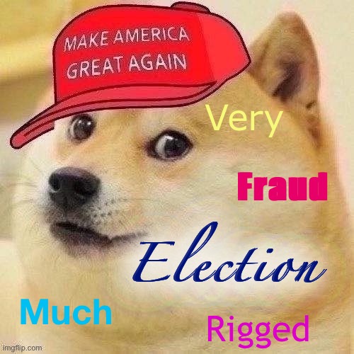 Ask your local MAGA Doge his or her original thoughts on the election | Very; Fraud; Election; Much; Rigged | image tagged in maga doge,maga,election 2020,2020 elections,rigged elections,election fraud | made w/ Imgflip meme maker