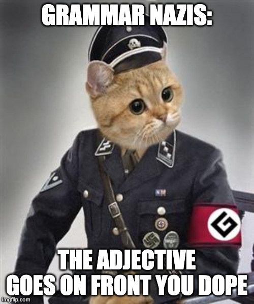 Grammar Nazi Cat | GRAMMAR NAZIS: THE ADJECTIVE GOES ON FRONT YOU DOPE | image tagged in grammar nazi cat | made w/ Imgflip meme maker