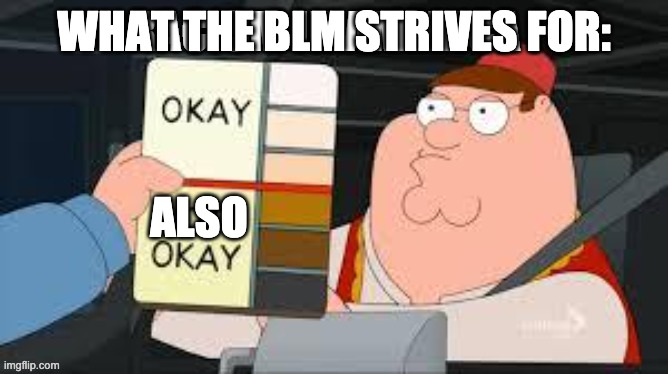 WHAT THE BLM STRIVES FOR: ALSO | made w/ Imgflip meme maker