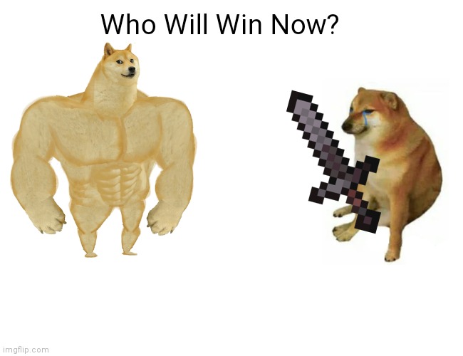 Who Wins Now? | Who Will Win Now? | image tagged in memes,buff doge vs cheems | made w/ Imgflip meme maker