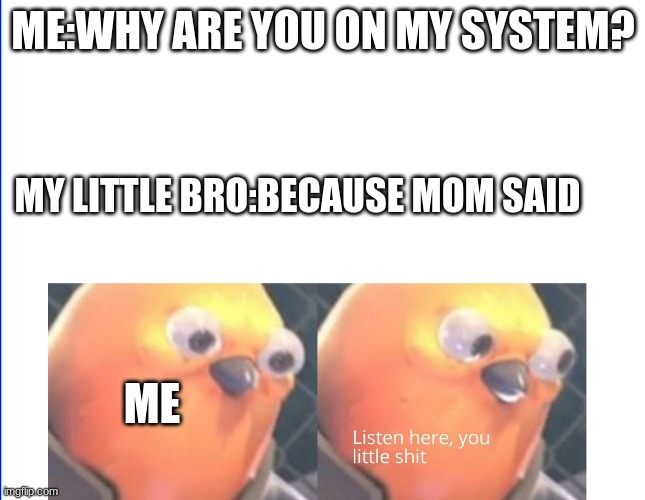 Listen here you little shit | ME:WHY ARE YOU ON MY SYSTEM? MY LITTLE BRO:BECAUSE MOM SAID; ME | image tagged in listen here you little shit | made w/ Imgflip meme maker