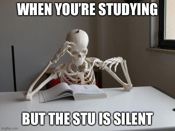 Stu-dying | WHEN YOU’RE STUDYING; BUT THE STU IS SILENT | image tagged in death by studying | made w/ Imgflip meme maker