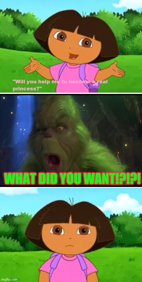 The Grinch Yells What Do You Want!?!?! at Dora | WHAT DID YOU WANT!?!?! | image tagged in the grinch,dora the explorer,memes,nickelodeon | made w/ Imgflip meme maker