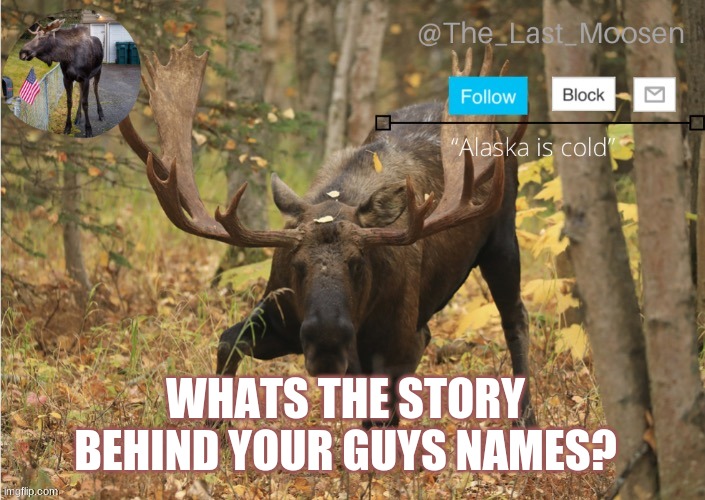 WHATS THE STORY BEHIND YOUR GUYS NAMES? | made w/ Imgflip meme maker