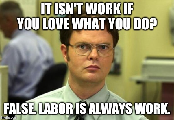 Dwight Schrute Meme | IT ISN'T WORK IF YOU LOVE WHAT YOU DO? FALSE. LABOR IS ALWAYS WORK. | image tagged in memes,dwight schrute | made w/ Imgflip meme maker