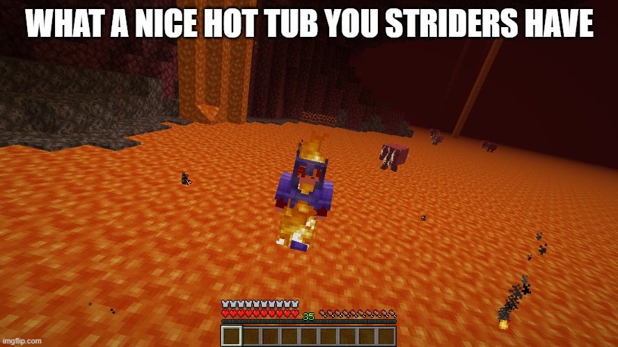 i can X in Y | WHAT A NICE HOT TUB YOU STRIDERS HAVE | image tagged in i can x in y | made w/ Imgflip meme maker