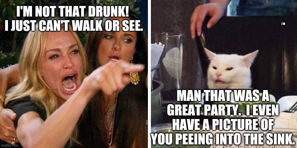 Smudge the cat | I'M NOT THAT DRUNK!  I JUST CAN'T WALK OR SEE. J M; MAN THAT WAS A GREAT PARTY.  I EVEN HAVE A PICTURE OF YOU PEEING INTO THE SINK. | image tagged in smudge the cat | made w/ Imgflip meme maker