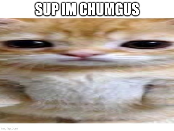big chungus | SUP IM CHUMGUS | image tagged in wipping | made w/ Imgflip meme maker
