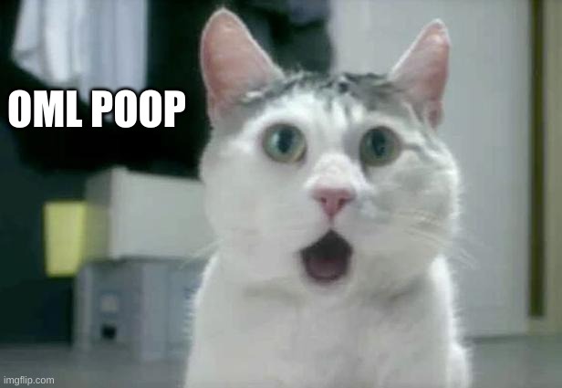 imgflip will be best app one day, cat: | OML POOP | image tagged in memes,omg cat | made w/ Imgflip meme maker